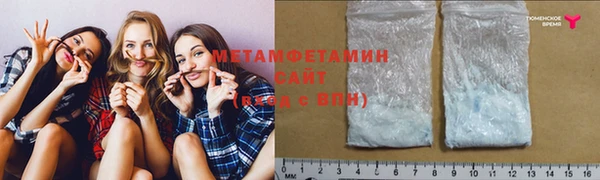 прущие грибы Медногорск