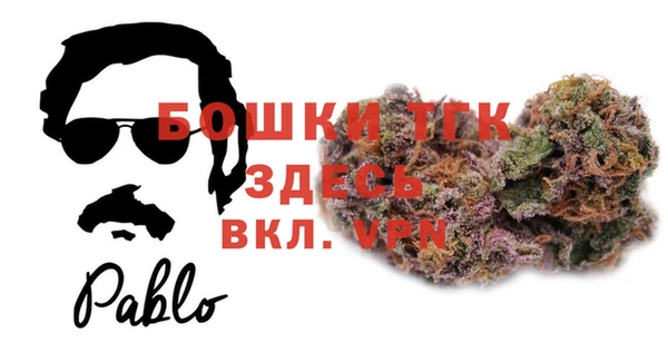прущие грибы Медногорск
