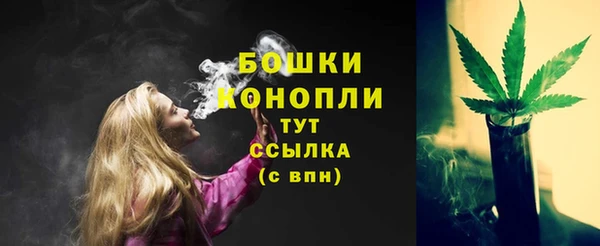 прущие грибы Медногорск