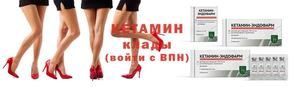 прущие грибы Медногорск