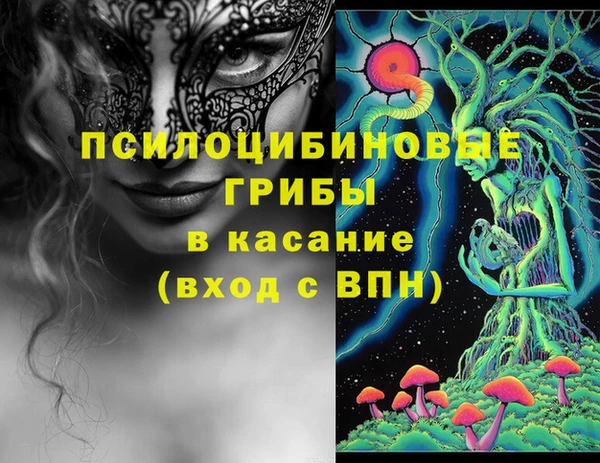 меф Медвежьегорск