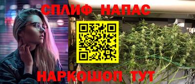 spice Гусиноозёрск