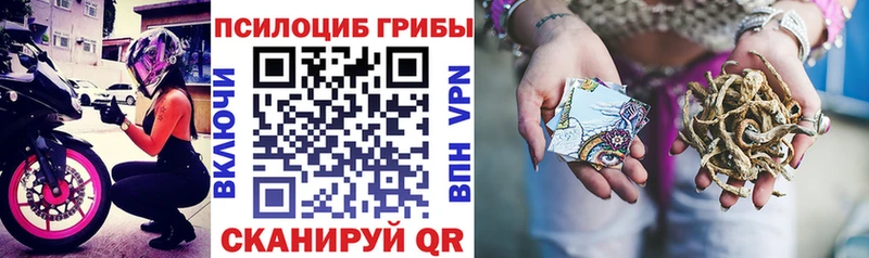 Галлюциногенные грибы ЛСД  наркотики  Михайловск 