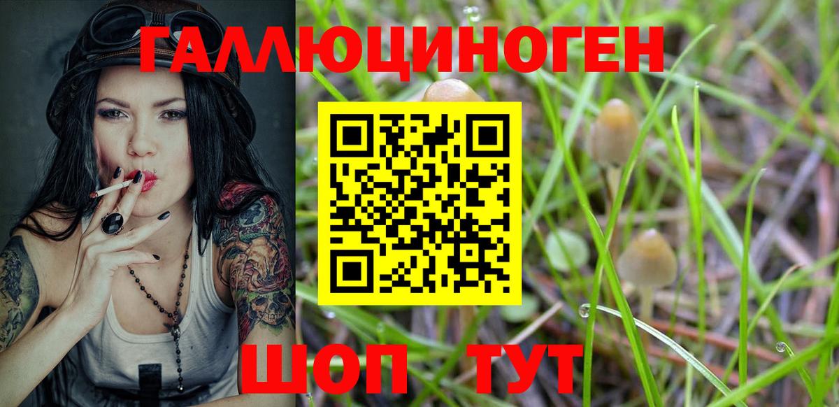 Псилоцибиновые грибы Psilocybine cubensis  Вход с VPN  Михайловск  Псилоцибиновые грибы GOLDEN TEACHER 