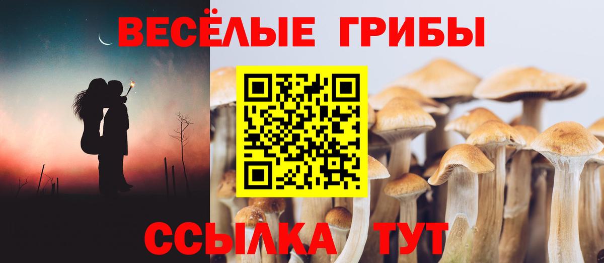 Псилоцибиновые грибы мухоморы Михайловск